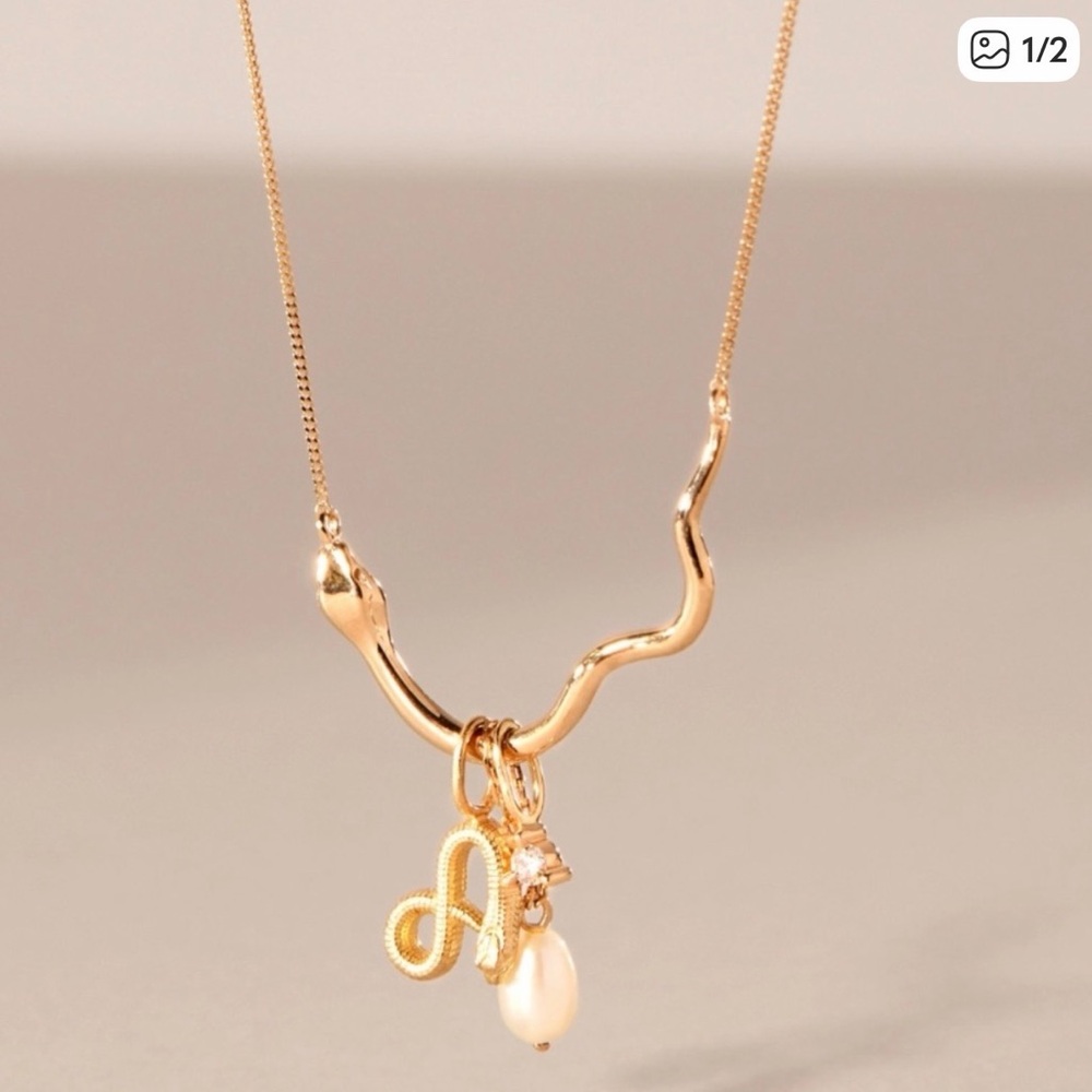 Catbird Sylvie Snake Charm-holder necklace 14k
